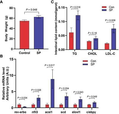 Effects of simulated winter short photoperiods on the microbiome and intestinal metabolism in Huanghe carp (Cyprinus carpio haematopterus)